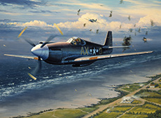 Mission Over Normandy by William S. Phillips
