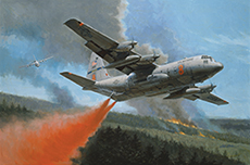 Quenching the Flames by Gil Cohen