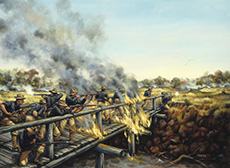 Soldiers in the Sun by Donna Neary