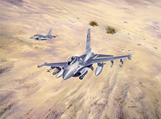 'The Swamp Foxes:' The Air National Guard in Desert Storm by David Poole