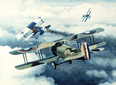Two Down to Glory by William S. Phillips