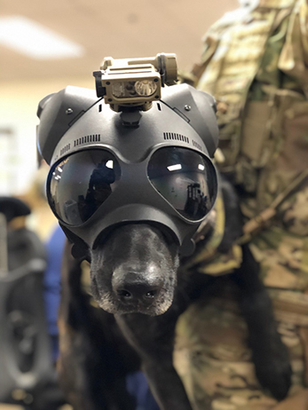 K9 Wrangler