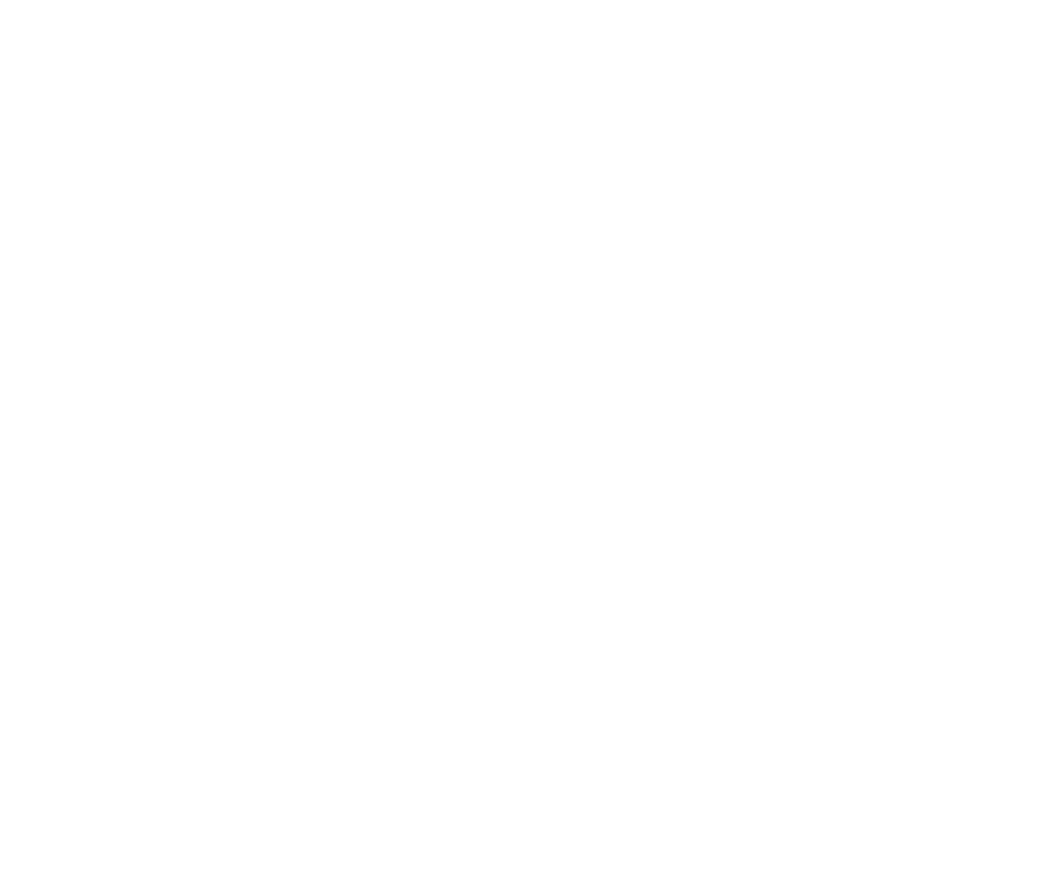 SPP 30th Anniversary Graphic: Acronym with white lettering