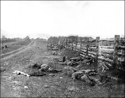 Confederate dead at Antietam