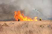 The Massachusetts National Guard natural resource program conducts a prescribed burn at Camp Edwards to maintain the grasslands at the base. Camp Edwards is home to three state listed endangered species of migratory birds. (Photo by Joel Carlson, Massachusetts National Guard).