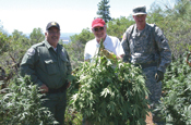 John P. Walters (center), director of the Office of National Drug Control Policy, pauses while being escorted on a marijuana eradication mission by Shasta County Sheriff Tom Bosenko (left) and the California National Guard Counterdrug Task Force commander, Col. Timothy Swann. Earlier this year.