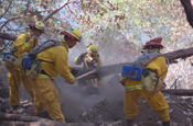 California National Guardsmen with Task Force Axe use Pulaskis and McLeods to supress a hot spot during mop up operations at Sugarloaf Mountain, a northern California site charred by wildfires. (US Army photo by SPC EDDIE SIGUENZA) (Unreleased) 