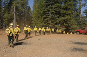 Members from the 129th Rescue Wing, 144th Fighter Wing, 146th Airlift Wing, 163rd Reconaissance Wing, and 162nd Combat Communications Group, California Air National Guard, head out to the forest outside of Paradise City, Calif. to conduct fireline training during Operation Lightning Strike July 27. More than 200 Airmen from across California completed their four-day firefighting training and deployed July 30 to the Telegraph Fire near Yosemite National Forest north of Fresno. (U.S. Air Force photo by Master Sgt. Dan Kacir) 