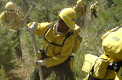 Staff Sgt. Rashie Burnett, an F-16 weapons loader from the 144th Fighter Wing, along with other California Air National Guard personnel clears out shrubs and thickets in the forest outside of Paradise City, Calif. during fireline training in support of Operation Lighting Strike July 27. More than 200 Airmen from across California completed their four-day firefighting training and deployed July 30 to the Telegraph Fire near Yosemite National Forest north of Fresno. (U.S. Air Force photo by Master Sgt. Dan Kacir) 