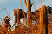 Desert Duty in the States - Surrounded by the cacti of the Arizona desert, a National Guardsman scans the state's border with Mexico for illegals. The Arkansas National Guard currently has 15 Airmen supporting the mission in Arizona. Over 200 more Soldiers and Airmen are supporting Operation Jump Start in New Mexico and Texas. Along with these stateside mobilizations, the Arkansas National Guard has approximately 1700 more Soldiers and Airmen deployed overseas. (Photo by Capt. Chris Heathscott, Arkansas National Guard State Public Affairs Office)