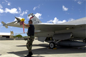 Eagles, Falcons face off in air exercise - Master Sgt. Carlos Rodriguez conducts a post-flight inspection on an F-16 Fighting Falcon at Hickam Air Force Base, Hawaii, Sept. 8 during Exercise Sentry Aloha. Sergeant Rodriguez is a crew chief with the Texas Air National Guard's 149th Fighter Wing. (U.S. Air Force photo/Tech. Sgt. Shane A. Cuomo)